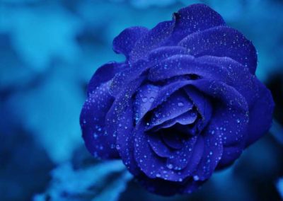 Indigo colour meaning