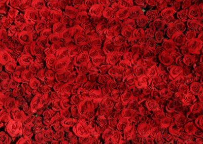 Red colour meaning