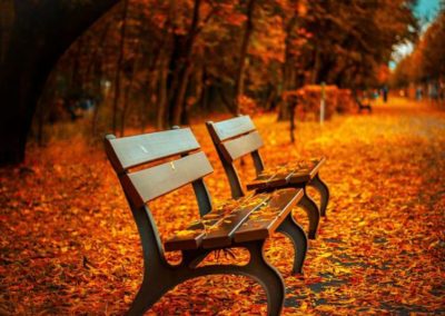 Orange colour meaning