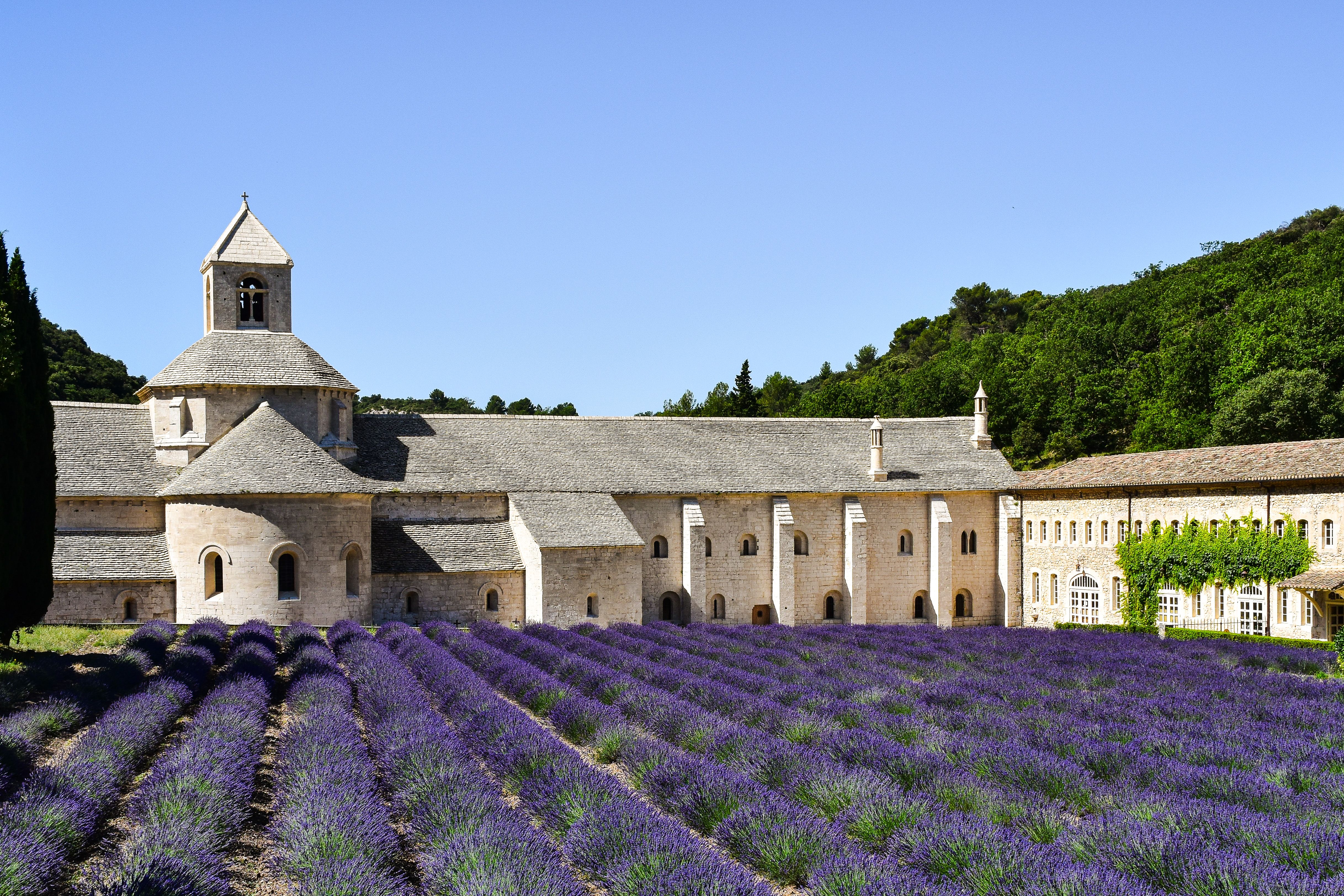 VIP Experience Provence with Marcia O'Regan